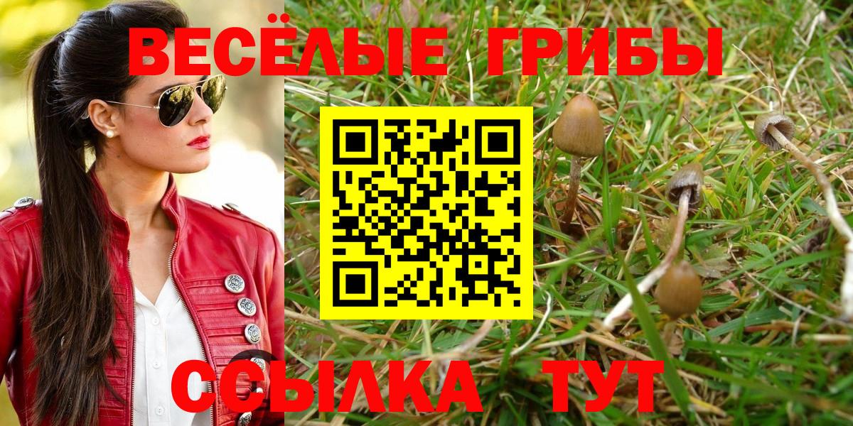Галлюциногенные грибы Magic Shrooms Черкесск