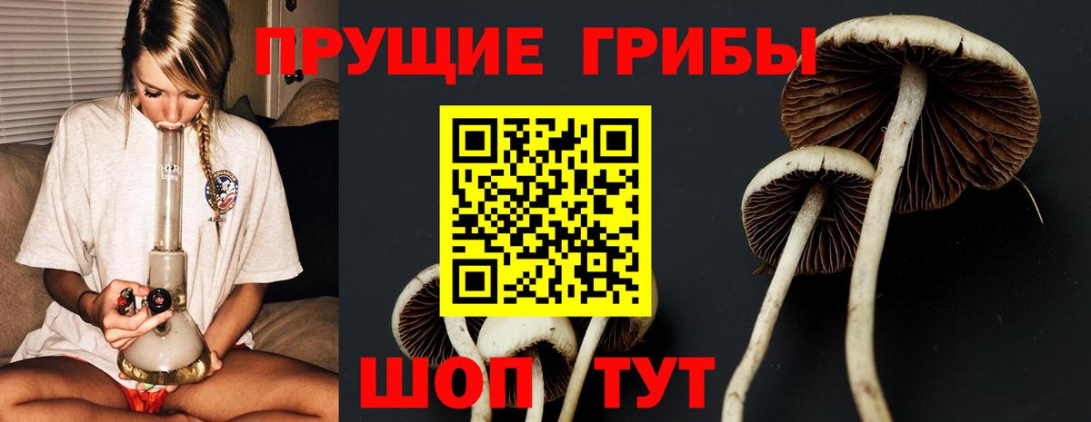 Черкесск  Псилоцибиновые грибы мухоморы  Вход с VPN 